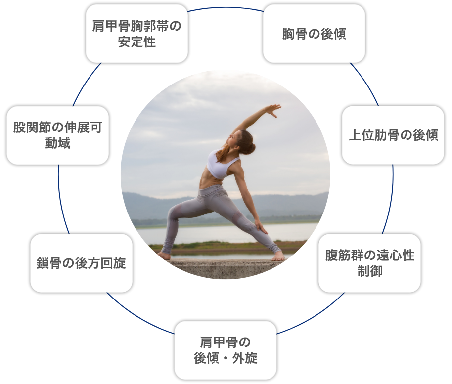 肩甲骨胸郭帯の安定性、胸骨の後傾、上位肋骨の後傾、腹筋群の遠心性制御、肩甲骨の後傾・外旋、鎖骨の後方回旋、股関節の伸展可動域