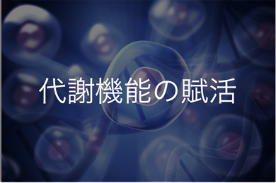 代謝機能の賦活